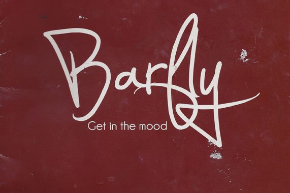 Barfly Leipzig - Logo neu