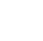 pizbuin Logo