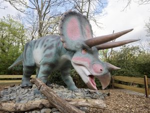 38_Triceratops im Zoo Leipzig_c_Zoo Leipzig.jpg