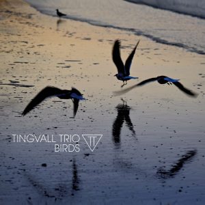 TINGVALL TRIO - "Birds"