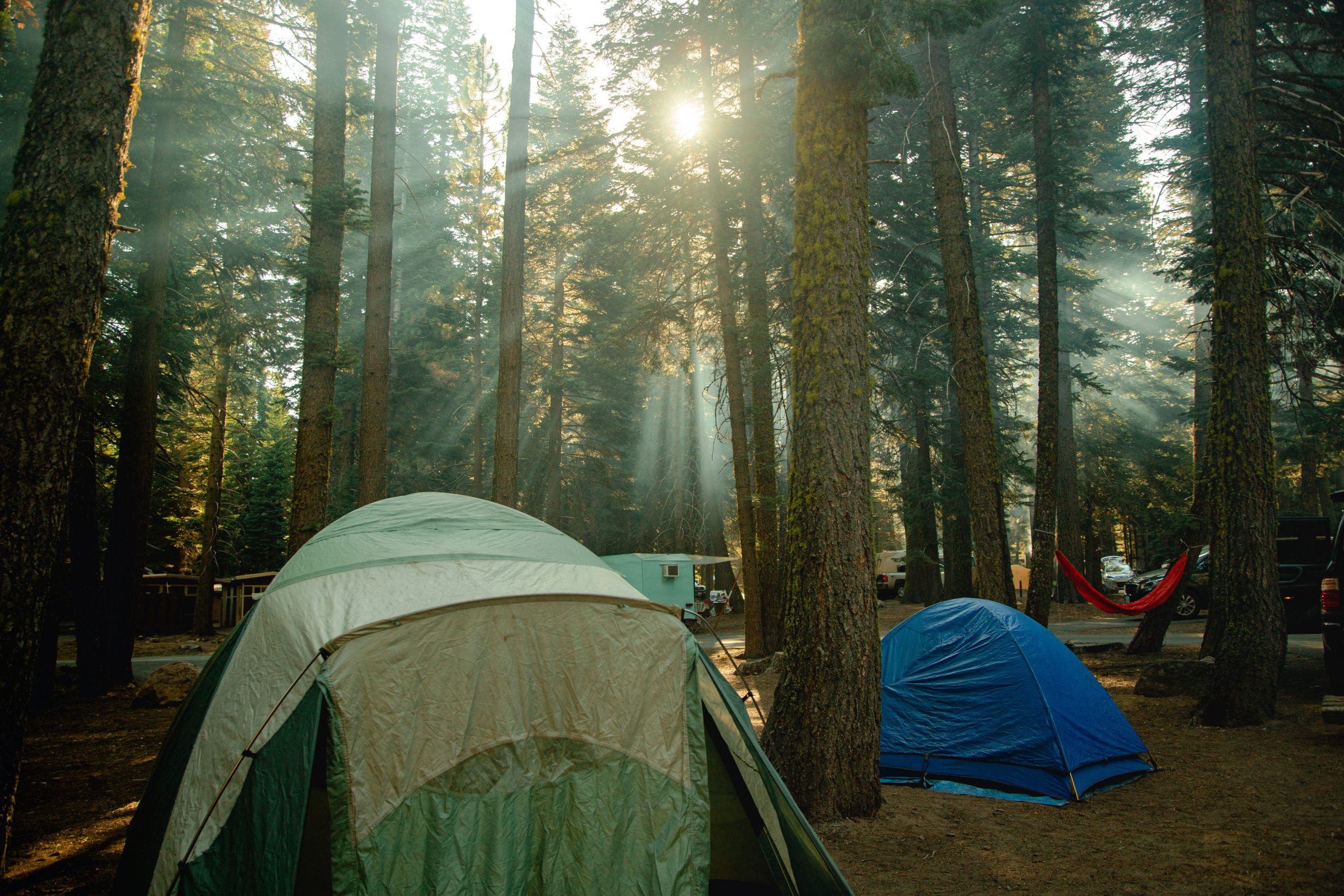 Camp right. Отдых в лесу с палатками. Кемпинг лес Курган. Рисовк кемпинг. Круглая картина кемпинг.