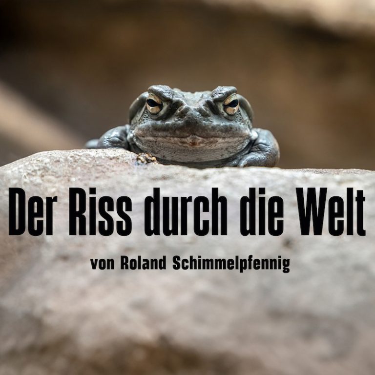 Der Riss durch die Welt - von Roland Schimmelpfennig